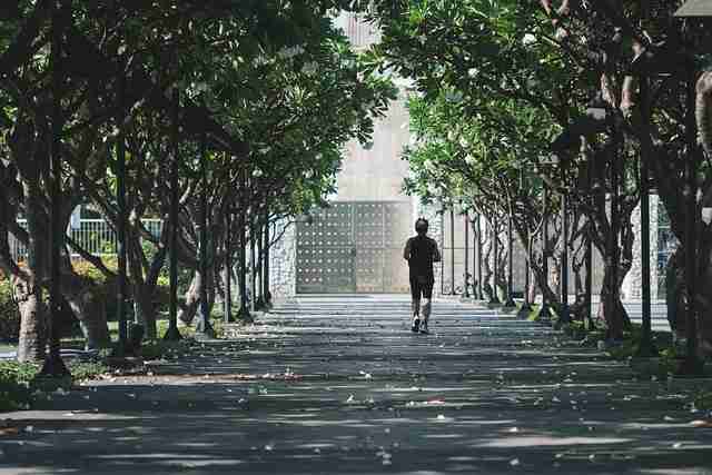 黑料社app下载官网高能看点全网热议榜，社交热度绝密档案